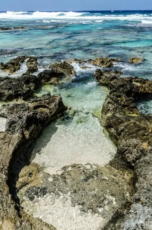 Magnetic bacteria have been discovered in the Mariana Trench for the first time