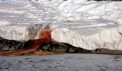 The mystery of the bloody waterfalls of Antarctica has been unraveled