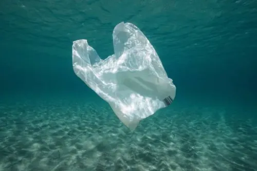 New Zealand has become the first country to ban all plastic bags