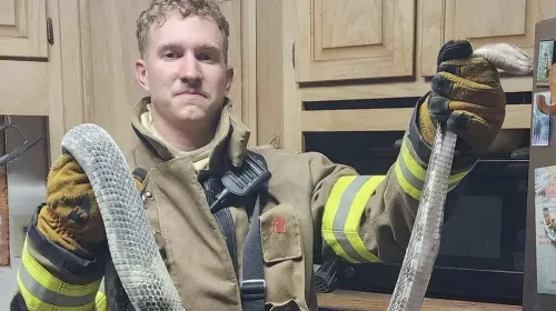 In the state of Georgia, a massive snake found its way into a house, causing a fire